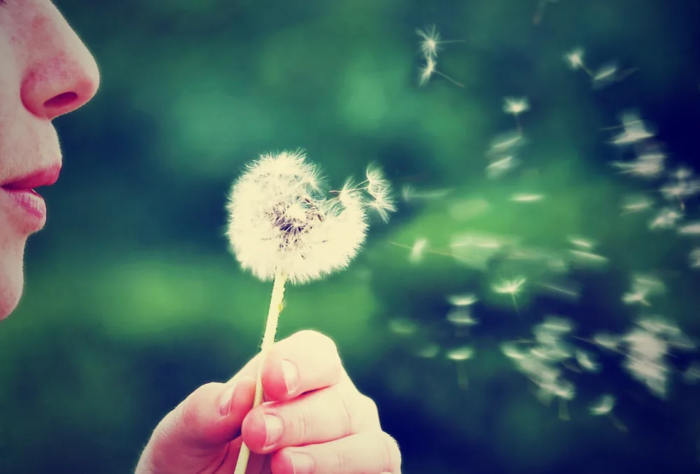 Sleeping with hayfever