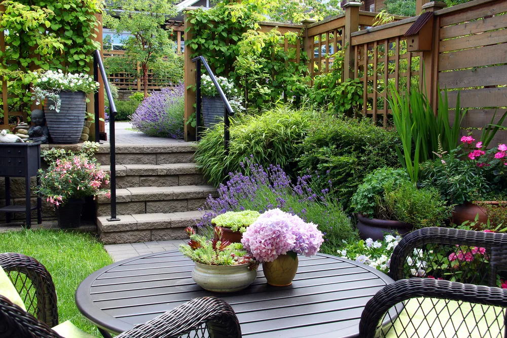 North facing garden