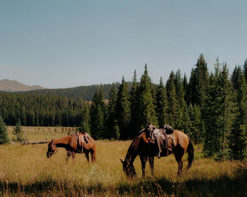 staying at a ranch