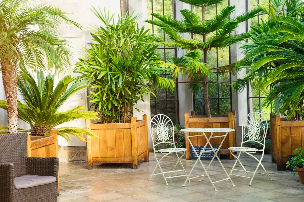 Increase the value of your home