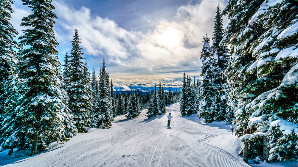 how to organise a ski trip