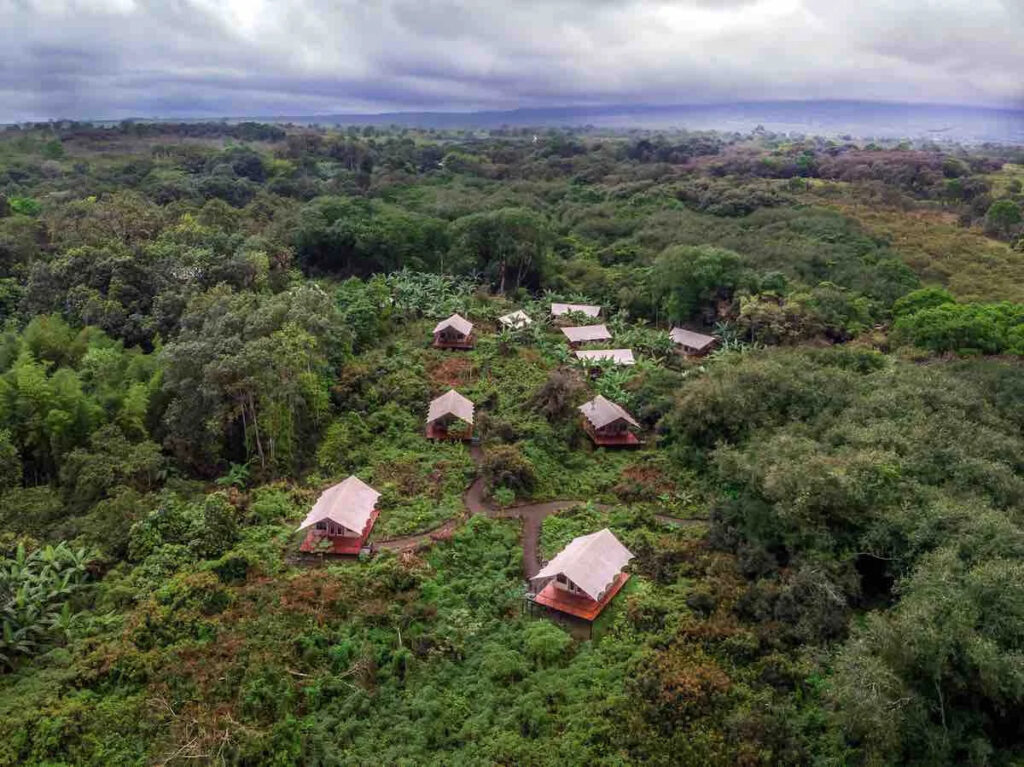 Amazon Rainforest holidays