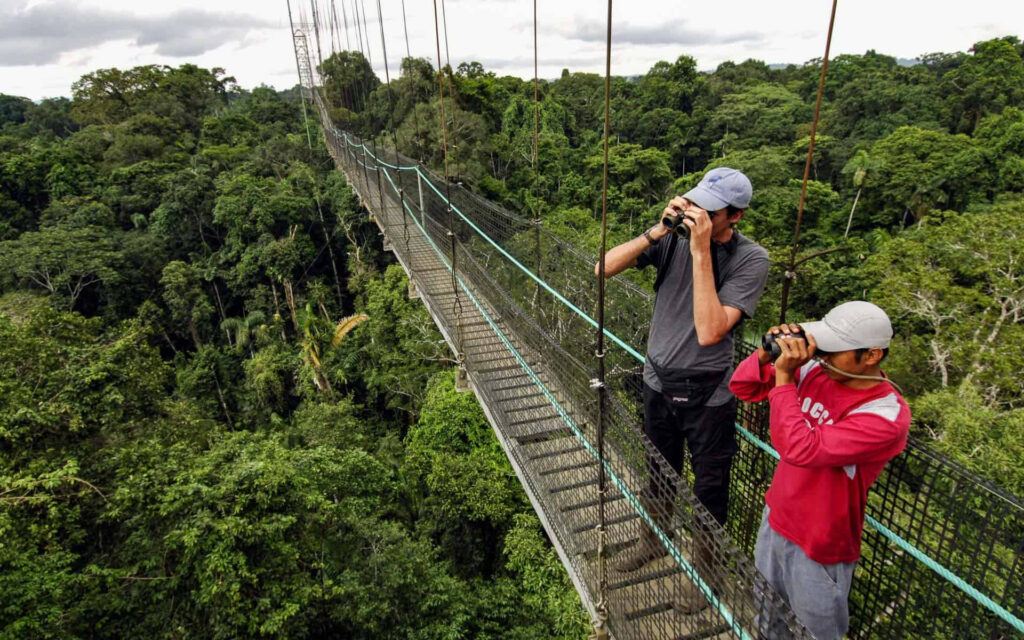 Amazon Rainforest holidays