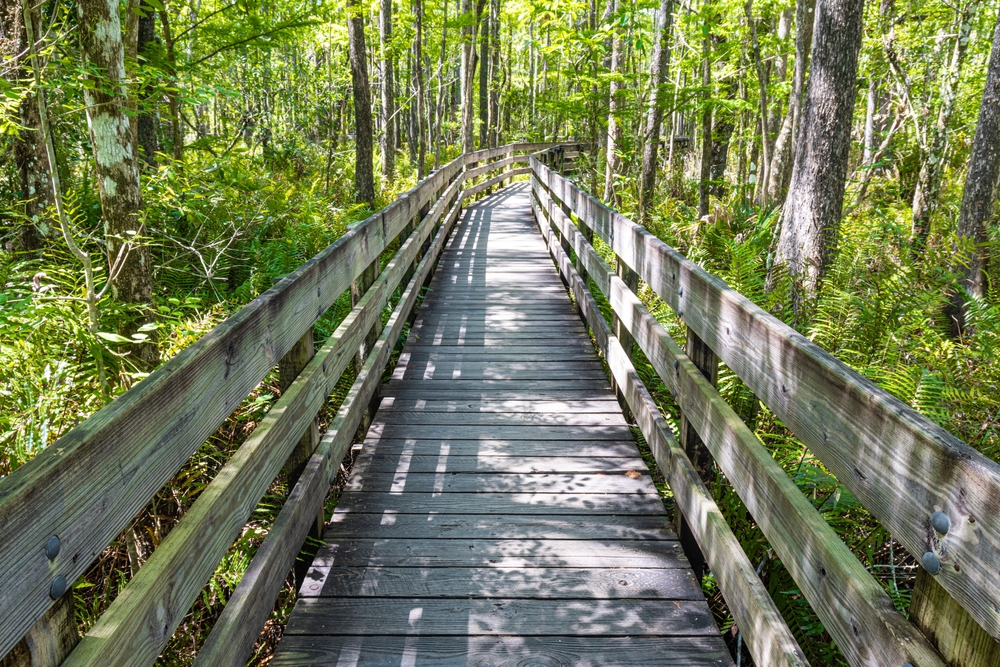 Fort Myers outdoor activities