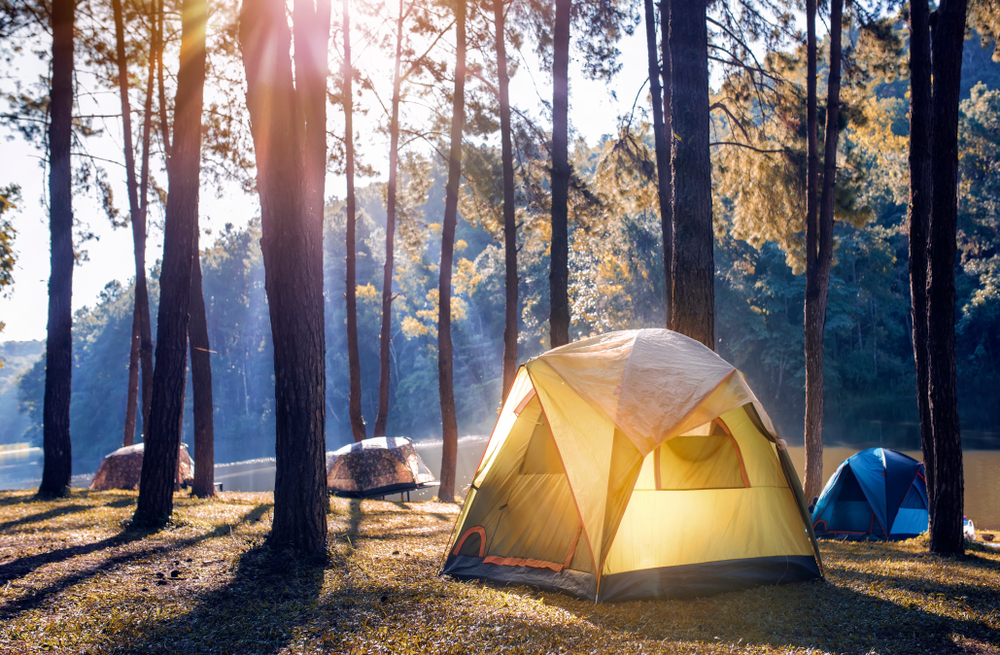 tent mistakes that attract wildlife