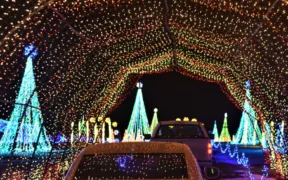 Christmas light displays
