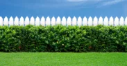 Five fence colours to make gardens look bigger