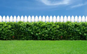 Five fence colours to make gardens look bigger