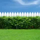Five fence colours to make gardens look bigger