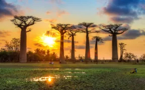 Madagascar honeymoon