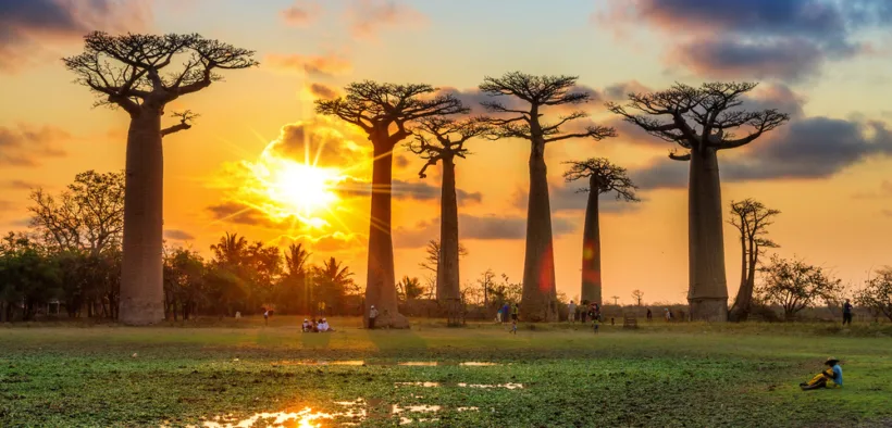 Madagascar honeymoon