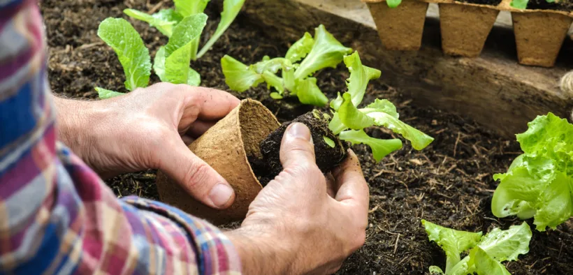gardening jobs to do in an hour
