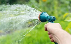 watering during sunny spells