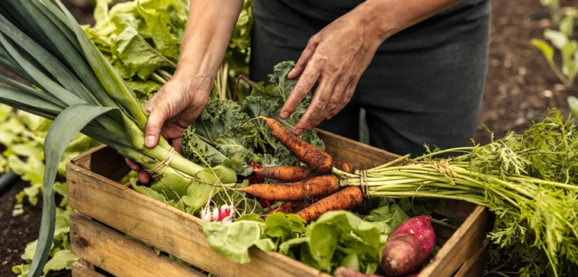 summer gardening jobs
