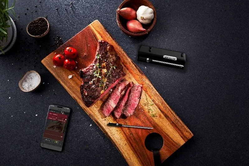 Witt Meat Thermometer 
