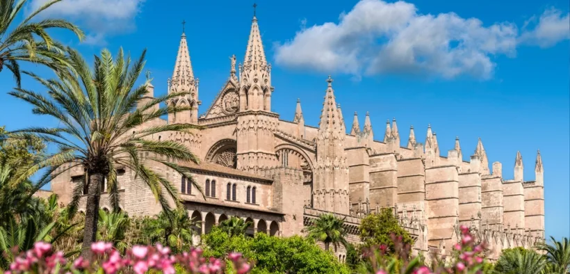 is the food good in palma