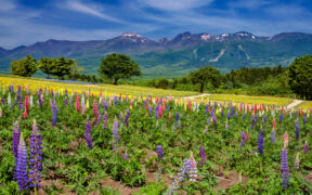 nasu highlands