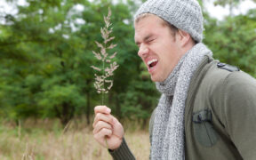 hay fever foods and drinks