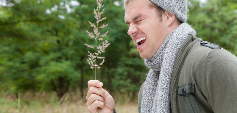 hay fever foods and drinks