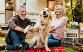 best dog friendly campsites uk