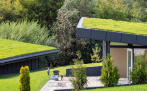 green roof on house