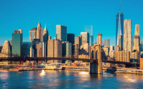 nyc rules.